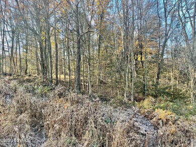 0 Shingle Run Rd, Pine Township, PA 17846 - photo 2