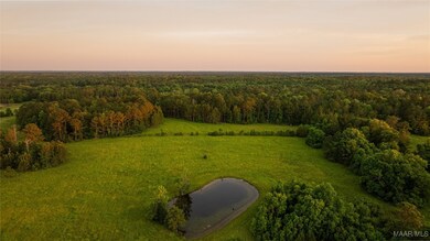 140 Flowers Rd, Fitzpatrick, AL 36029 - photo 2