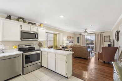 3-web-or-mls-DSC07482