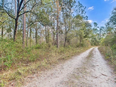 465 NE River Ridge Way, Lee, FL 32059 - photo 2