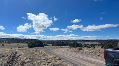 TBD Deer Cir, Quemado, NM 87829 - photo 3