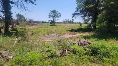 View of nature