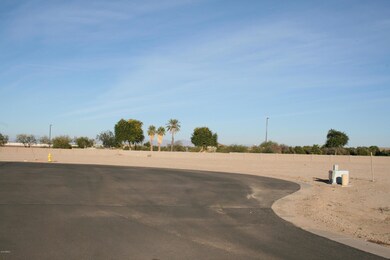 San Tan Joshua Tree Court