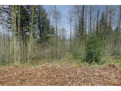 0 NE Hancock Rd unit 489816986, Camas, WA 98607 - photo 6