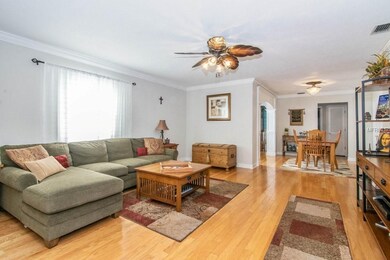 3906 W Leona St, Tampa, FL 33629 - photo 6