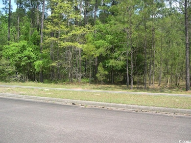 View of asphalt street with sidewalks, curbs, and a forest view