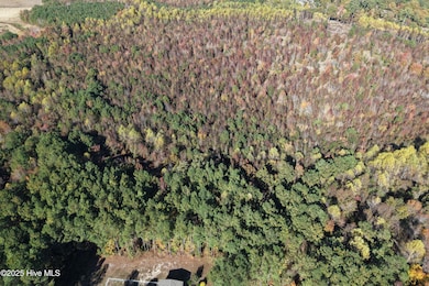 2122 State Road 1415, Greenville, NC 27834 - photo 6