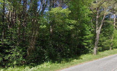 00 Willow Brook Rd unit 5, Plainfield, NH 03781 - photo 3