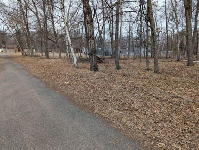 Lot 21 B0 Birch Ln, Breezy Point, MN 56472 - photo 4