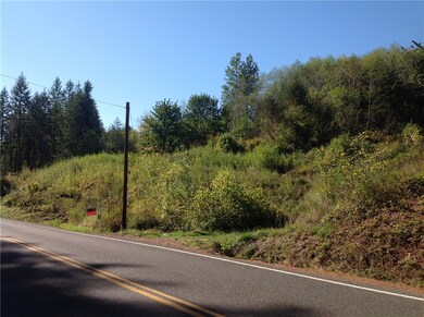 0 Logan Hill Rd unit 851426, Chehalis, WA 98532 - photo 3