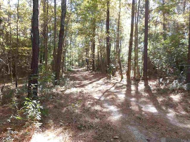 7430-D Lane Rd, Ethel, LA 70730 - photo 2