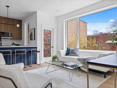 27 Dixwell St unit 2, Boston, MA 02119 - photo 3