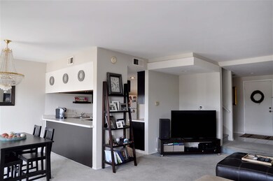 Looking back towards the entrance and kitchen.