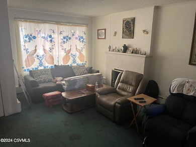 38 E Sunbury St, Shamokin, PA 17872 - photo 3