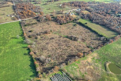 21214 Raccoon Rd, Stella, MO 64867 - photo 5