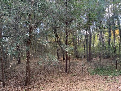 TBD Pearl Harbor Dr, Saint Helena Island, SC 29920 - photo 4