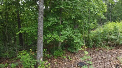 0 Ayton Ln unit 1248387, Bella Vista, AR 72714 - photo 4