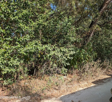 236 2nd Way, Interlachen, FL 32148 - photo 2