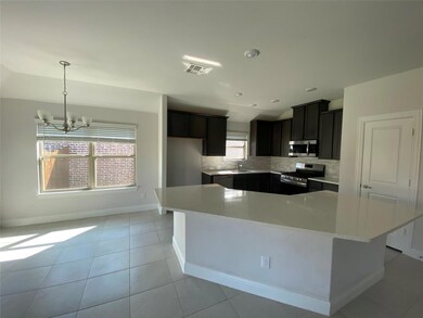 10805 Blaze St, Aubrey, TX 76227 - photo 5