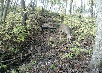 0 E Burns Valley Rd unit 1933975, Wilson, MN 55987 - photo 3