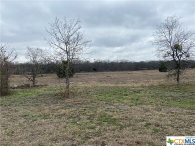 TBD Lower Troy Rd, Troy, TX 76579 - photo 4