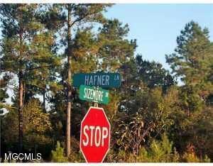 Tbv Hafner Rd, Lucedale, MS 39452 - photo 2