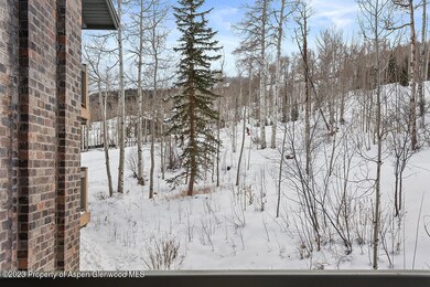 Snowmass Mtn Views