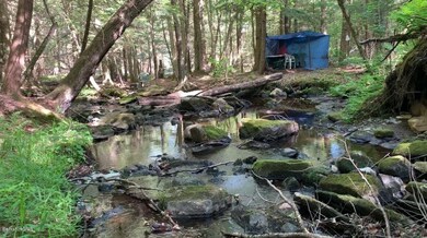 Day camp site