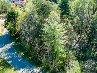 Majority of lot is gently sloping. The right side 