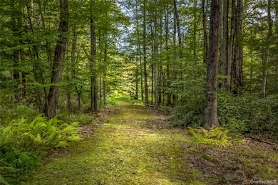 101 Lackawack Hill Rd, Napanoch, NY 12458 - photo 5