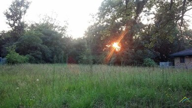 2909 Gardner Ave, Tyler, TX 75701 - photo 3