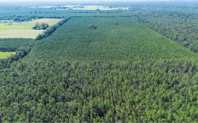 TBD-1 221st Rd, Dowling Park, FL 32060 - photo 2