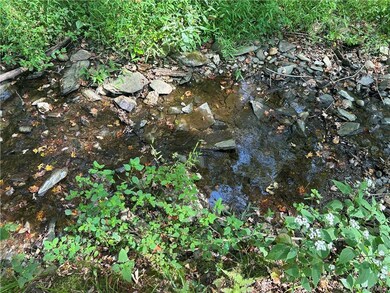 0 Westfall Rd, Ancram, NY 12502 - photo 5