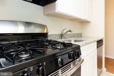 6001 Majors Ln unit 11, Columbia, MD 21045 - photo 6