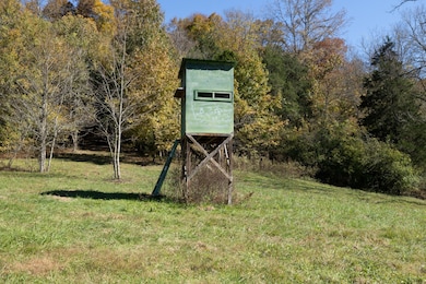 3 Tallent Rd, Pulaski, TN 38478 - photo 3