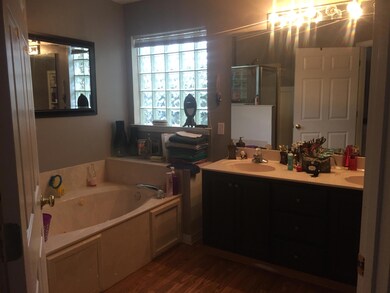 Master Bath Tub & Vanity