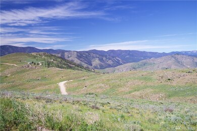 0 Lot 58 Methow River Ranch unit 1121373, Methow, WA 98834 - photo 7