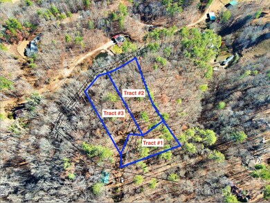 TBD Rockinghorse Trail unit Tract 1, Burnsville, NC 28714 - photo 6