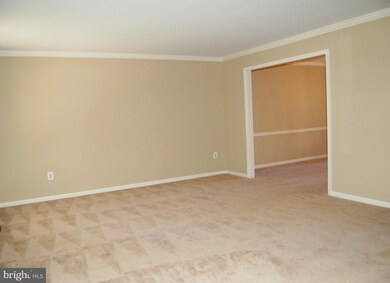 13481 Stream Valley Dr, Chantilly, VA 20151 - photo 5