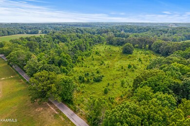 mls-210 Holloway Ln_0695