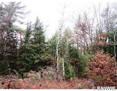 0 Hayden Lake Rd unit 859470, Danbury, WI 54830 - photo 5