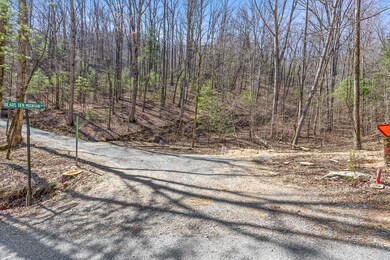 Road to Lot