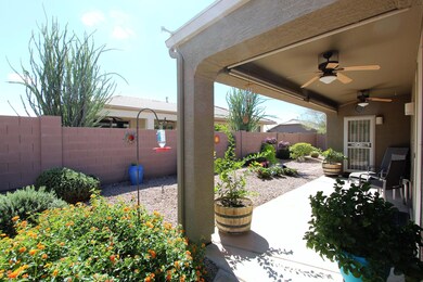 Sunny South Back Yard