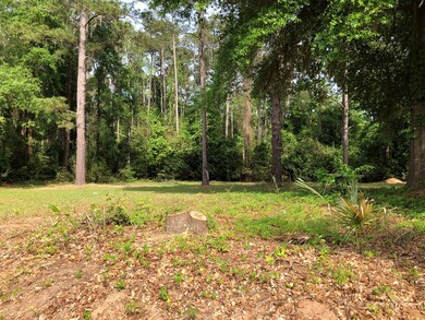 0 Cork Ferry Rd, Cordele, GA 31015 - photo 3