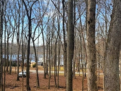 Lakeview 3 Highway 304, Ten Mile, TN 37880 - photo 2