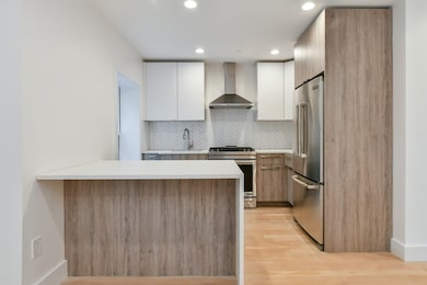 55 E Springfield St unit 4, Boston, MA 02118 - photo 2
