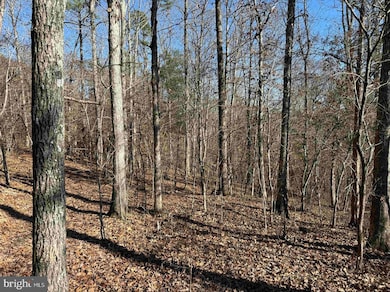 0, Arvonia, VA 23004 - photo 3