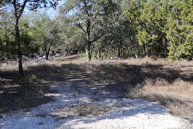 1433 Chestnut Spring, Bulverde, TX 78163 - photo 5