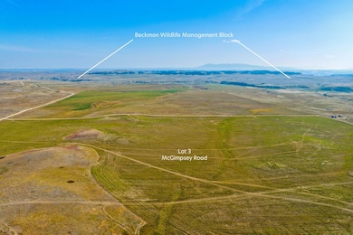Lot 4 McGimpsey Rd, Denton, MT 59430 - photo 3