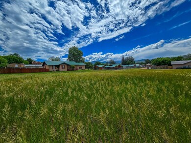 Tbd High St, La Veta, CO 81055 - photo 5